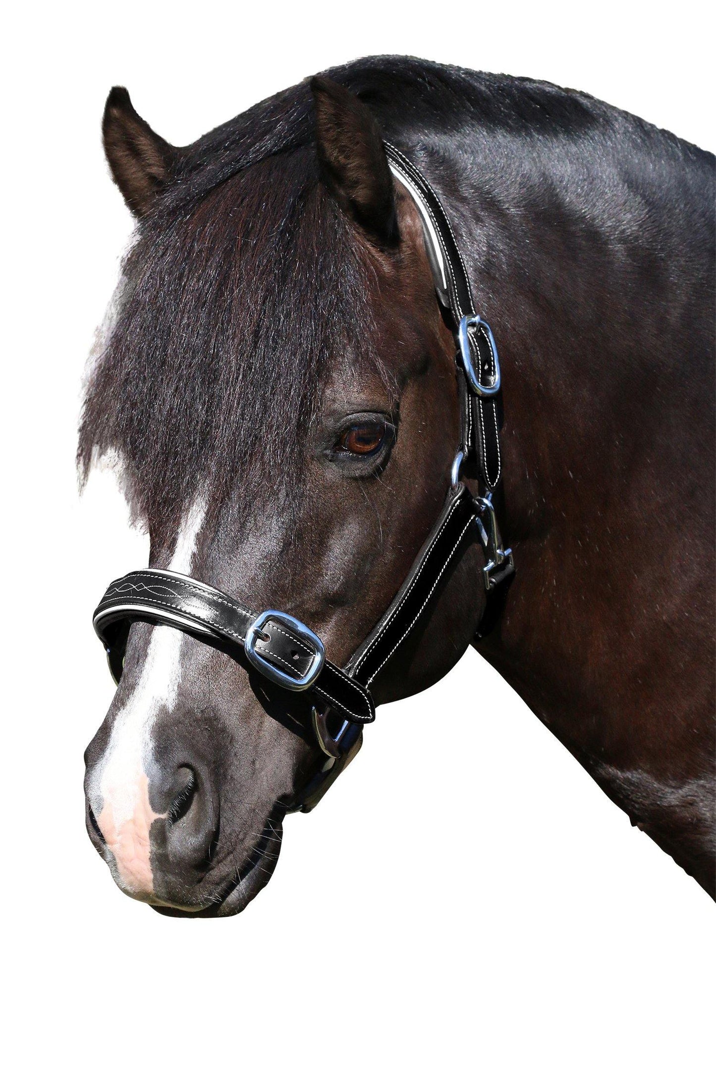 Fancy Stitch White Pipe Black Halter