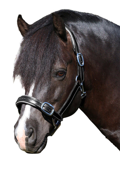 Fancy Stitch White Pipe Black Halter