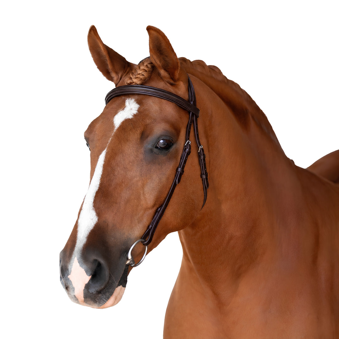 Havana Nosebandless Bridle 'Apollo'
