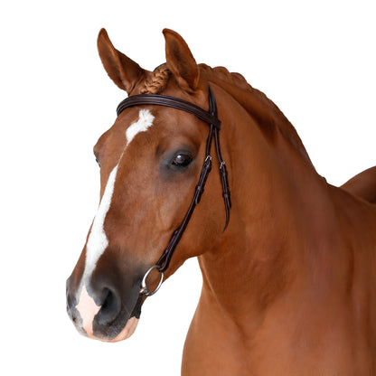 Havana Nosebandless Bridle 'Apollo'