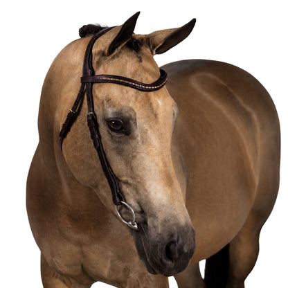 Havana Nosebandless Bridle 'Ivy'