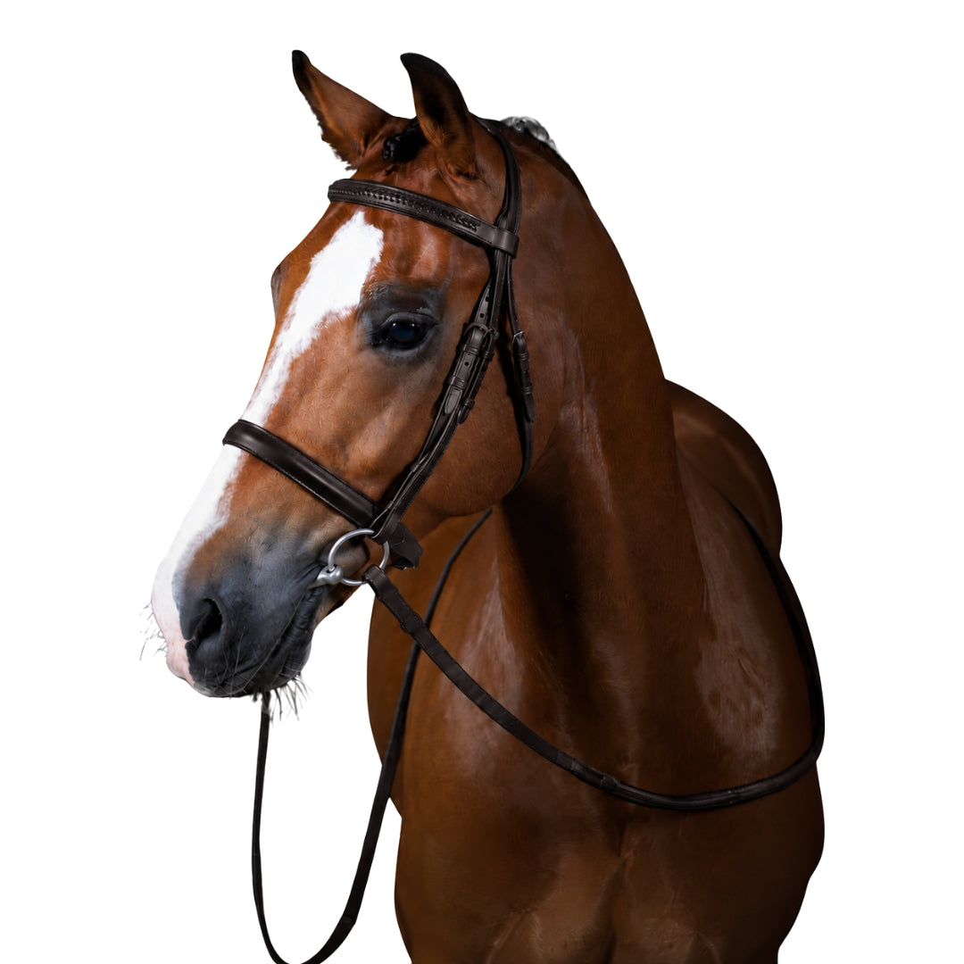 Premium Havana Show Snaffle Bridle 'Delilah'