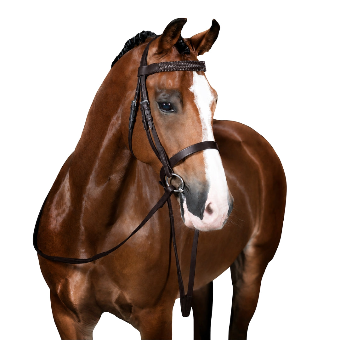 Premium Havana Show Snaffle Bridle 'Lilou'