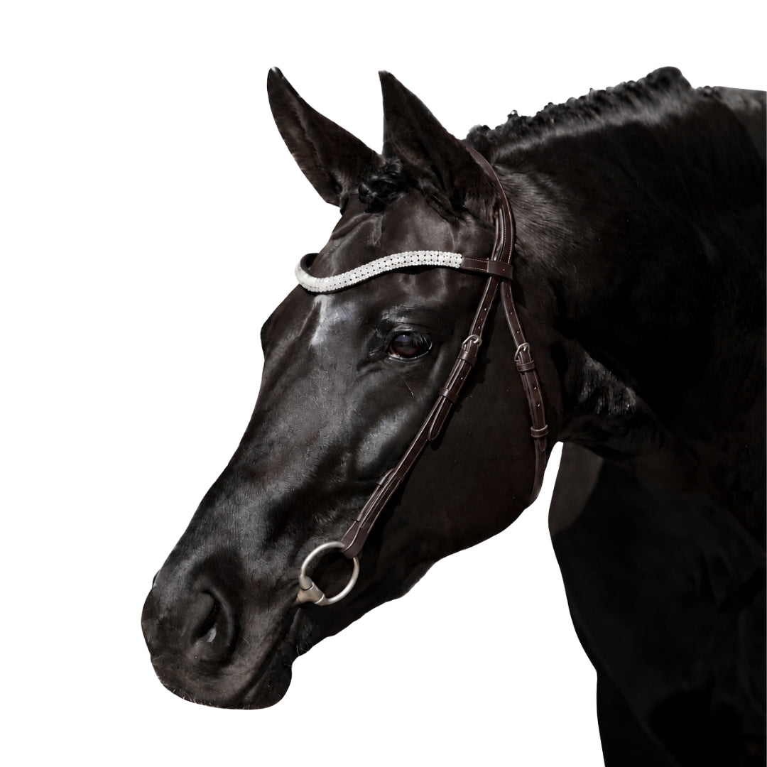 Havana Nosebandless Bridle 'Siren'