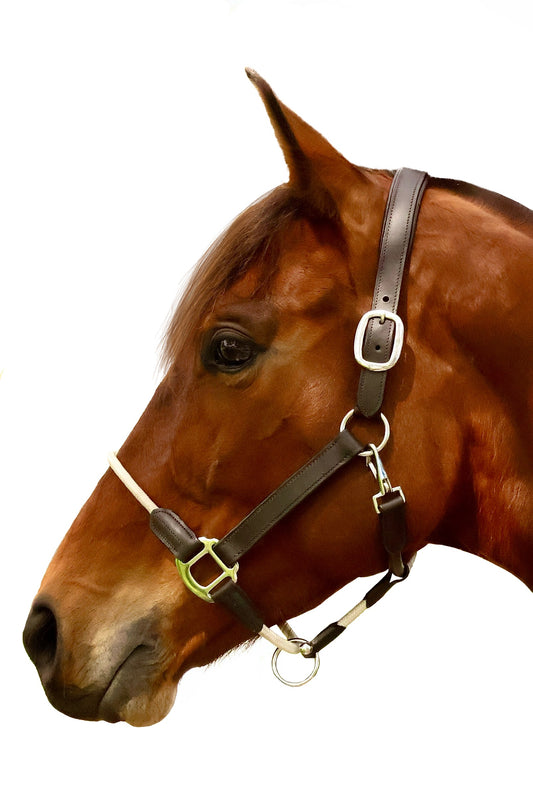 Leather and Rope Havana Halter