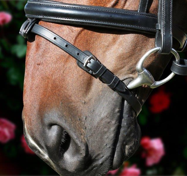 Clincher Wave Snaffle Bridle