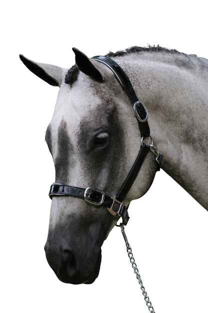 Patent Silver Pipe Black - Leather Horse Halter