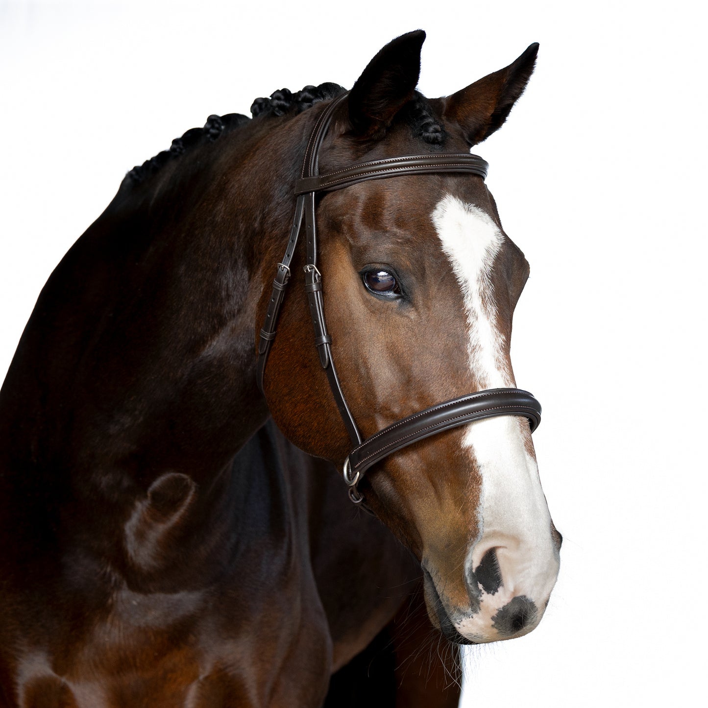 Havana Bitless Bridle 'Reflection'