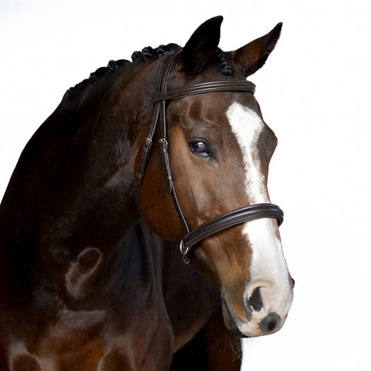 Havana Bitless Bridle 'Reflection'