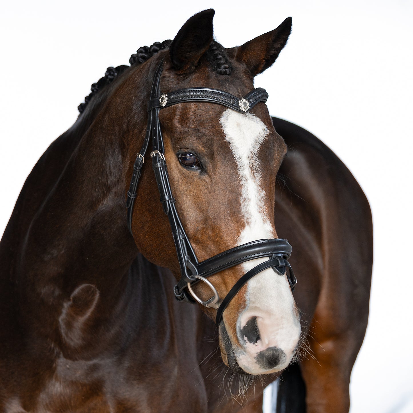 Premium Black Snaffle Bridle 'Winter'