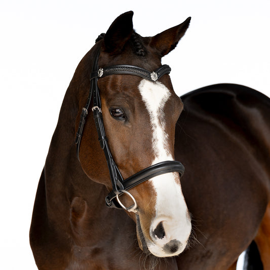 Premium Black Snaffle Bridle 'Winter'