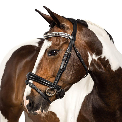 Premium Havana Snaffle Bridle 'Tidal'