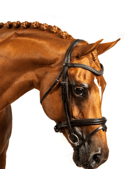 Premium Black Snaffle Bridle 'Thalia'