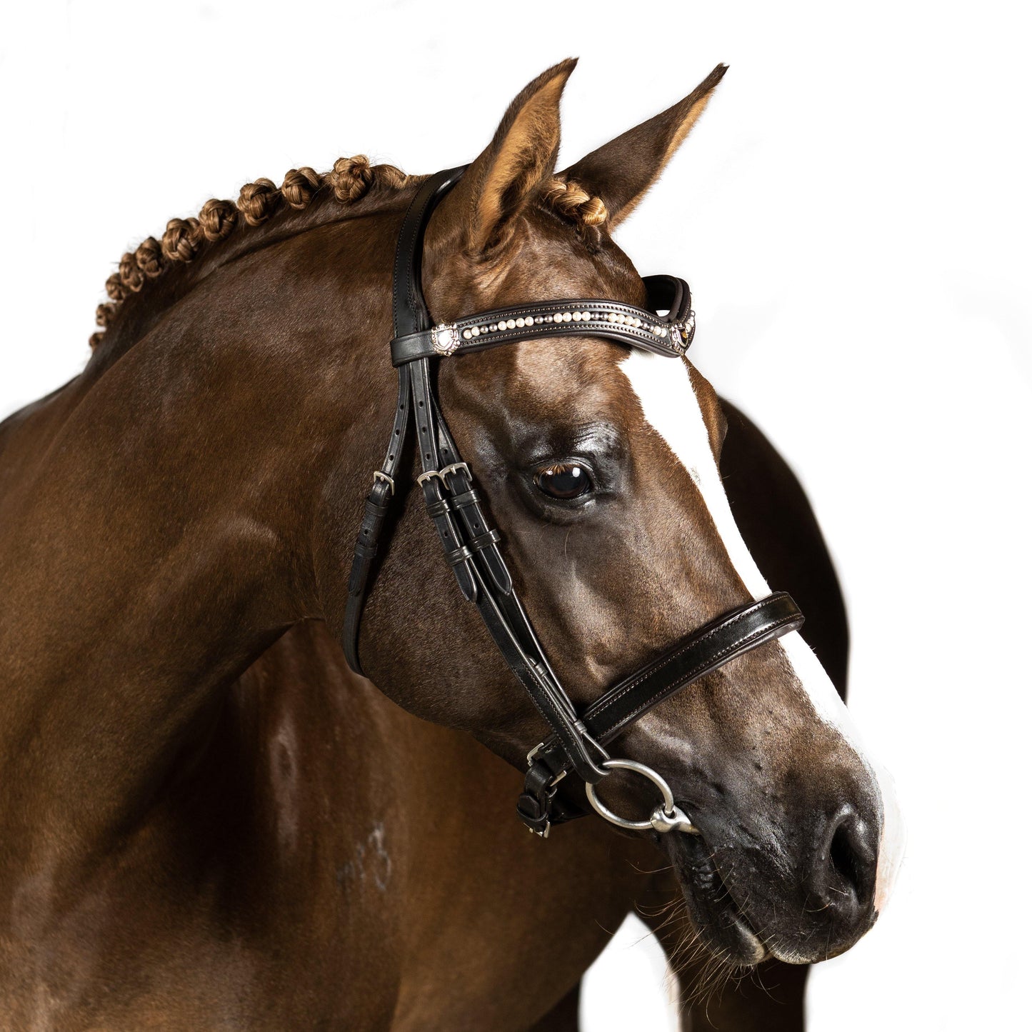 Premium Black Snaffle Bridle 'Teddy'