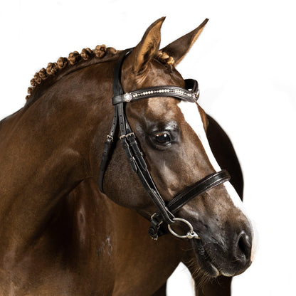 Premium Black Snaffle Bridle 'Teddy'
