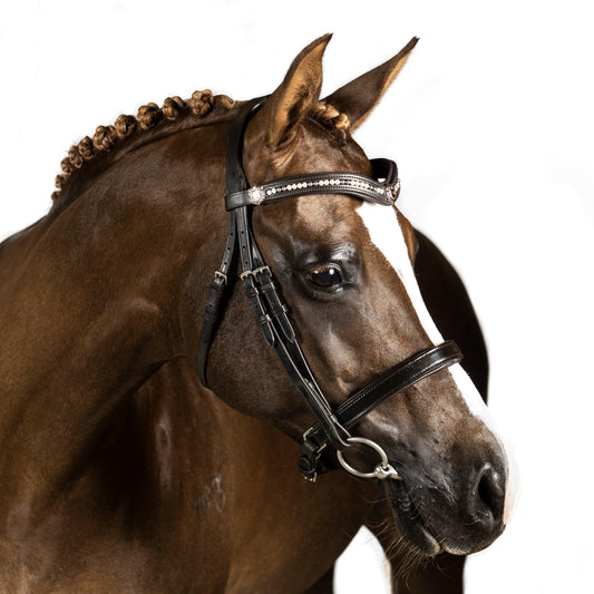 Premium Black Snaffle Bridle 'Teddy'