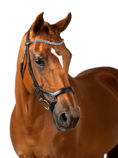 Premium Black Comfort Bridle 'Poseidon'