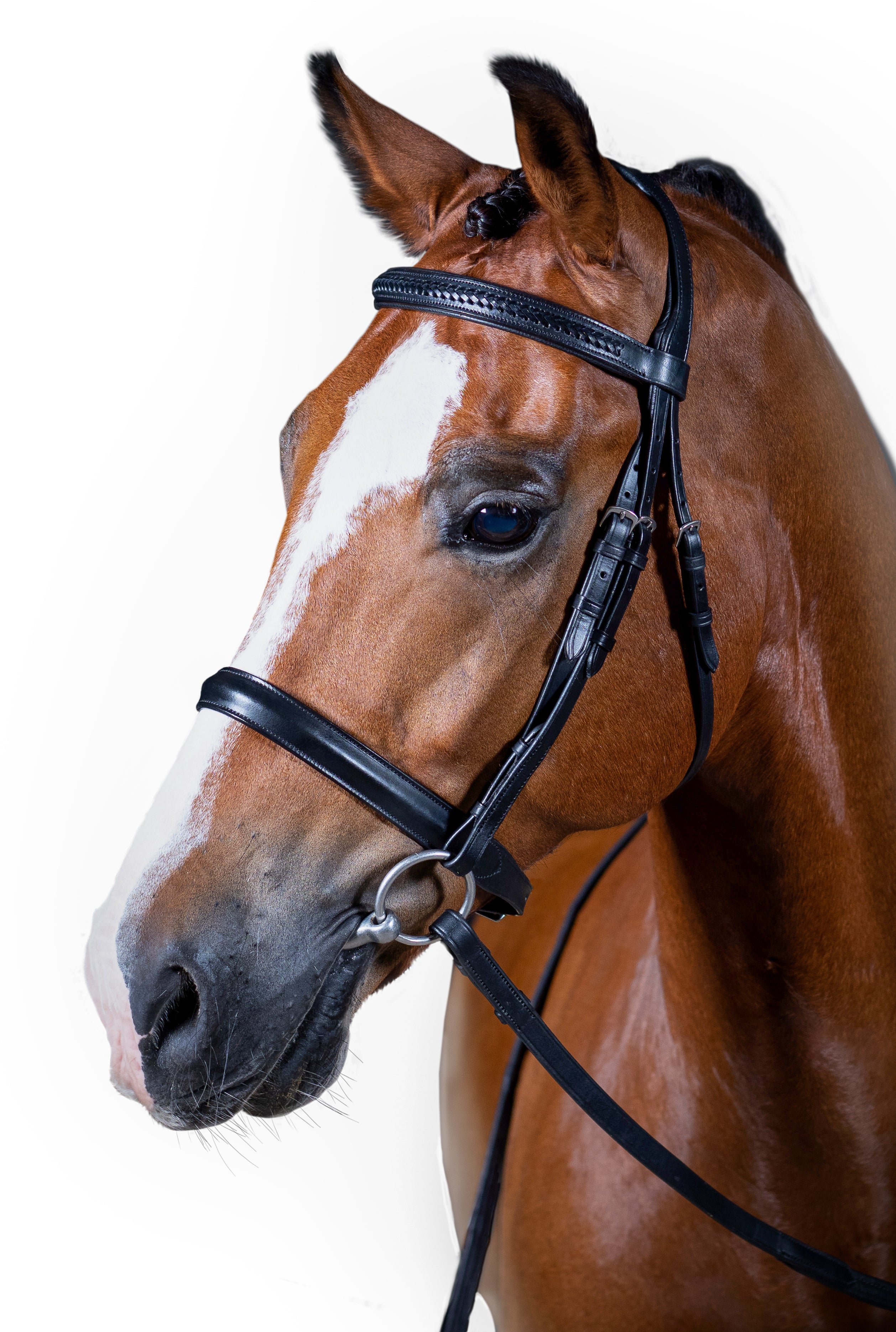 Premium Black Show Snaffle Bridle Taras | FF Equestrian AU – Flexible ...