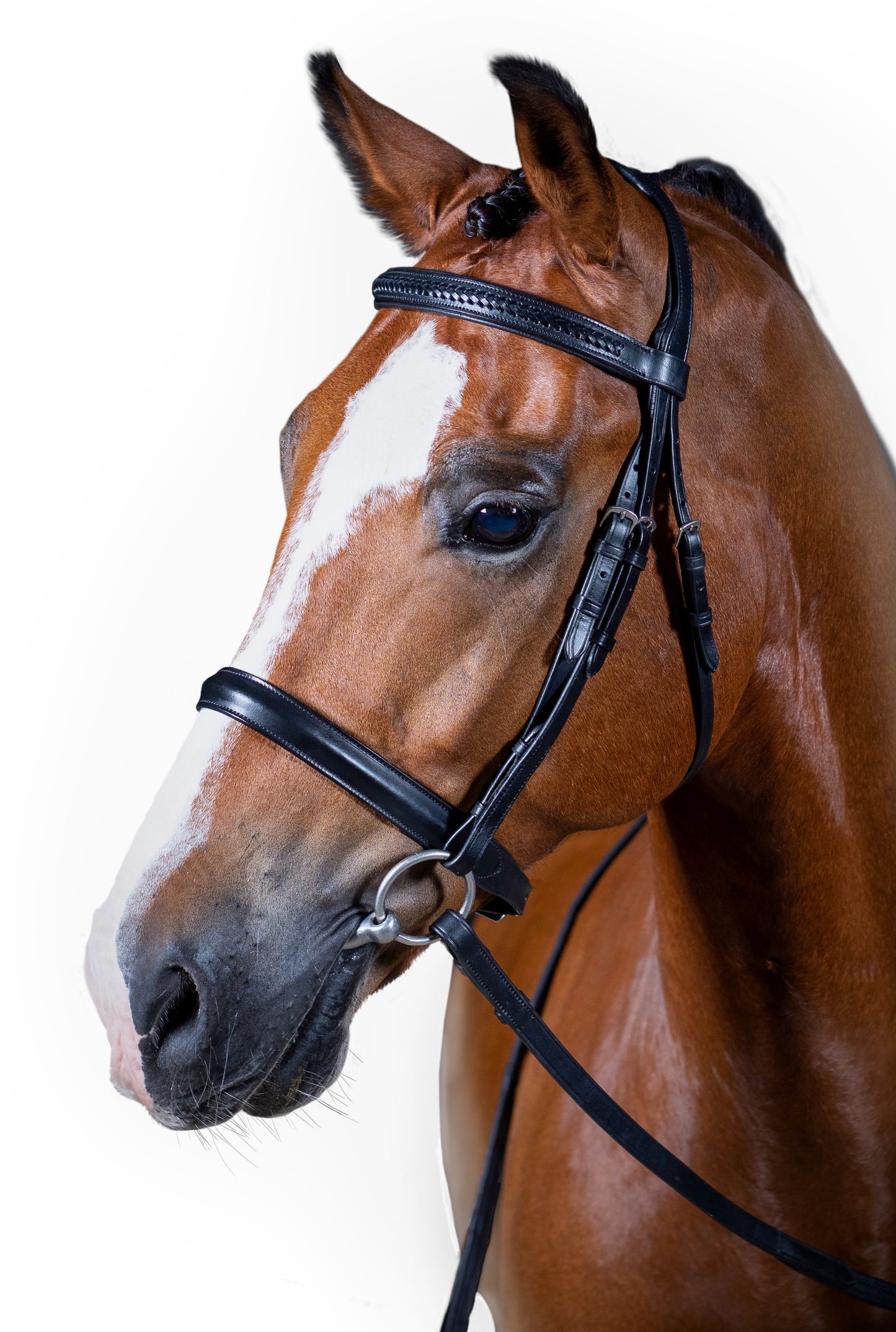Premium Black Show Snaffle Bridle 'Taras'
