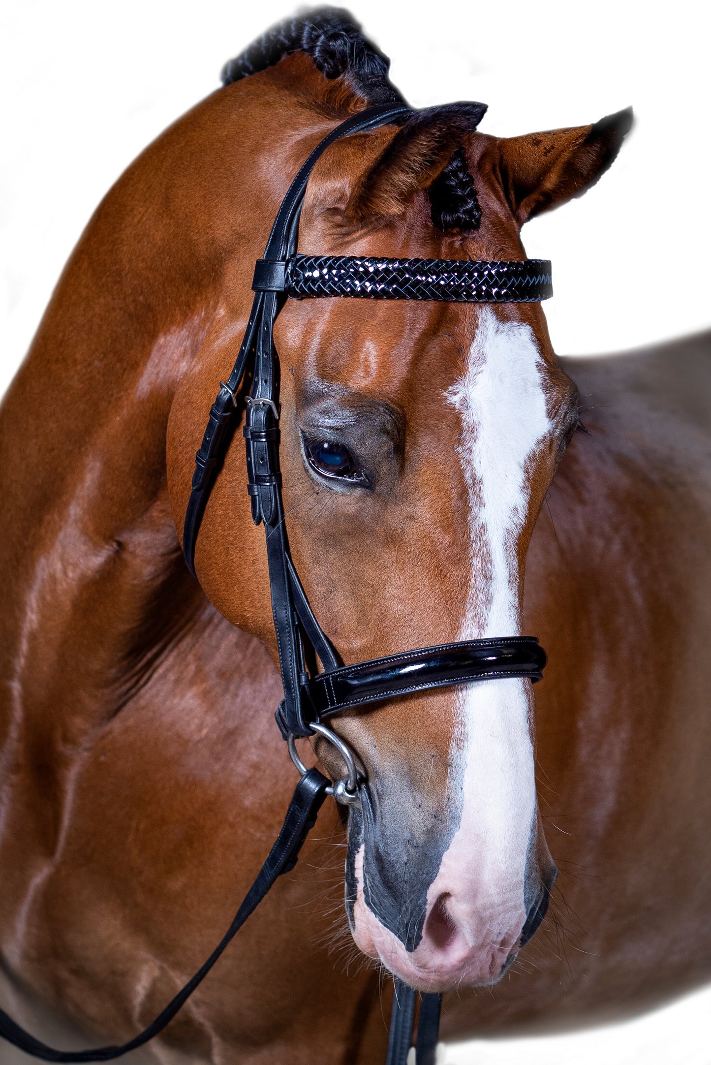 Premium Black Show Snaffle Bridle 'Majesty'
