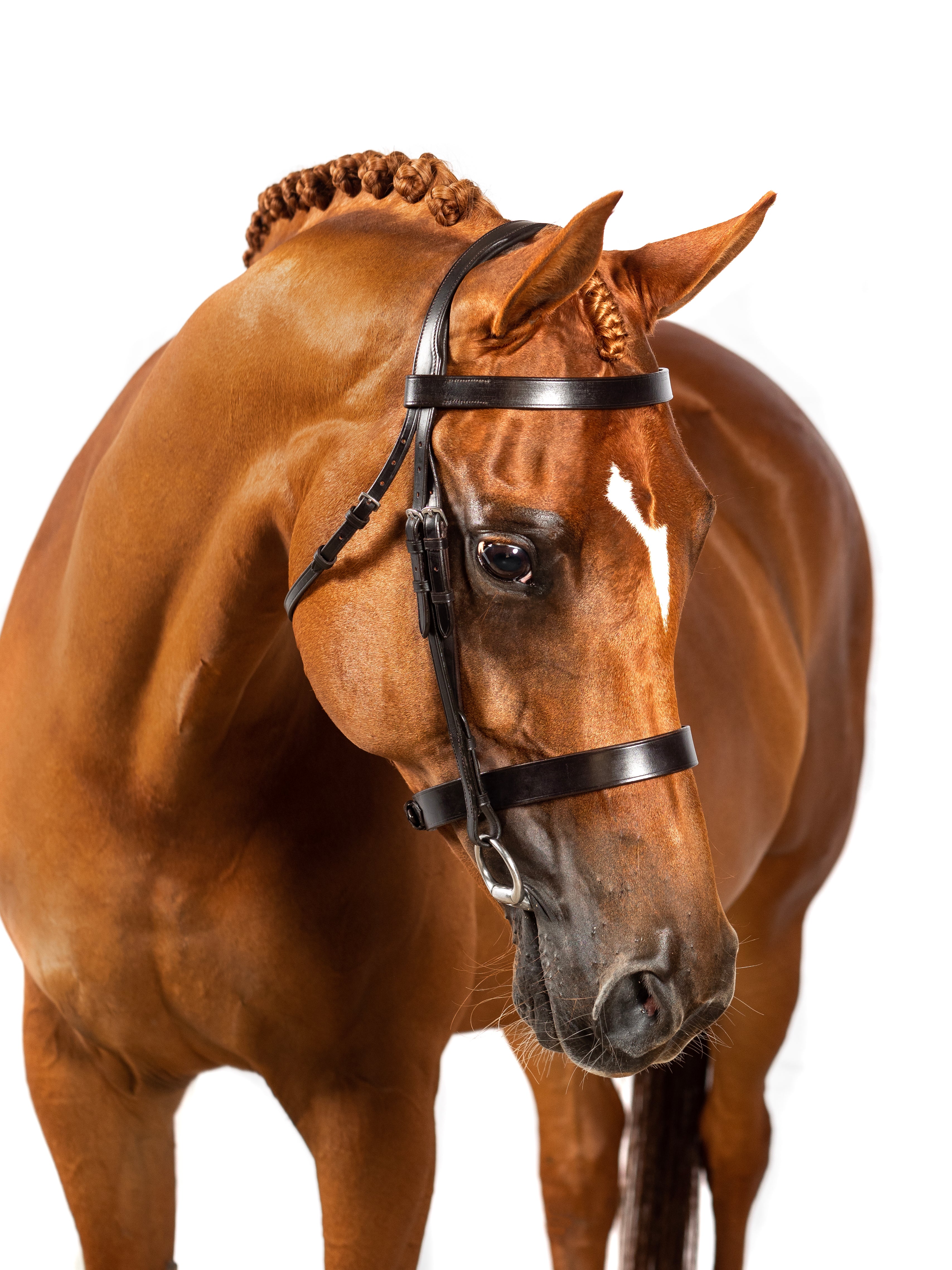 Premium Havana Show Snaffle Bridle Riviera | FF Equestrian AU ...