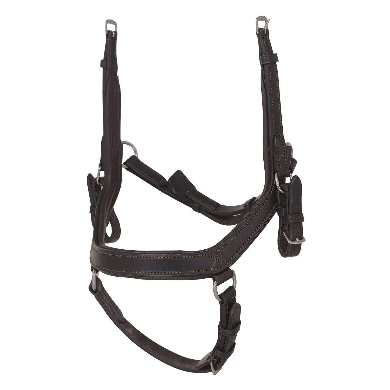 2 in 1 Comfort Noseband - Havana - Flexible Fit Equestrian Australia