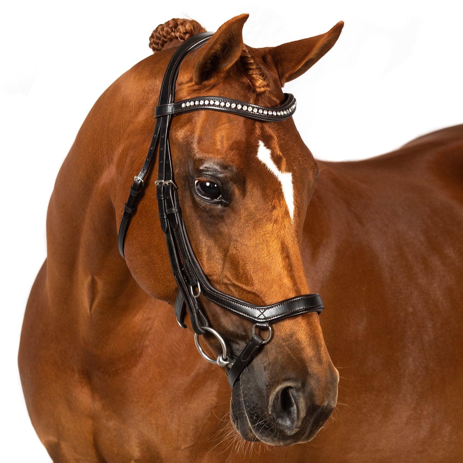 2 in 1 Comfort Noseband - Havana - Flexible Fit Equestrian Australia