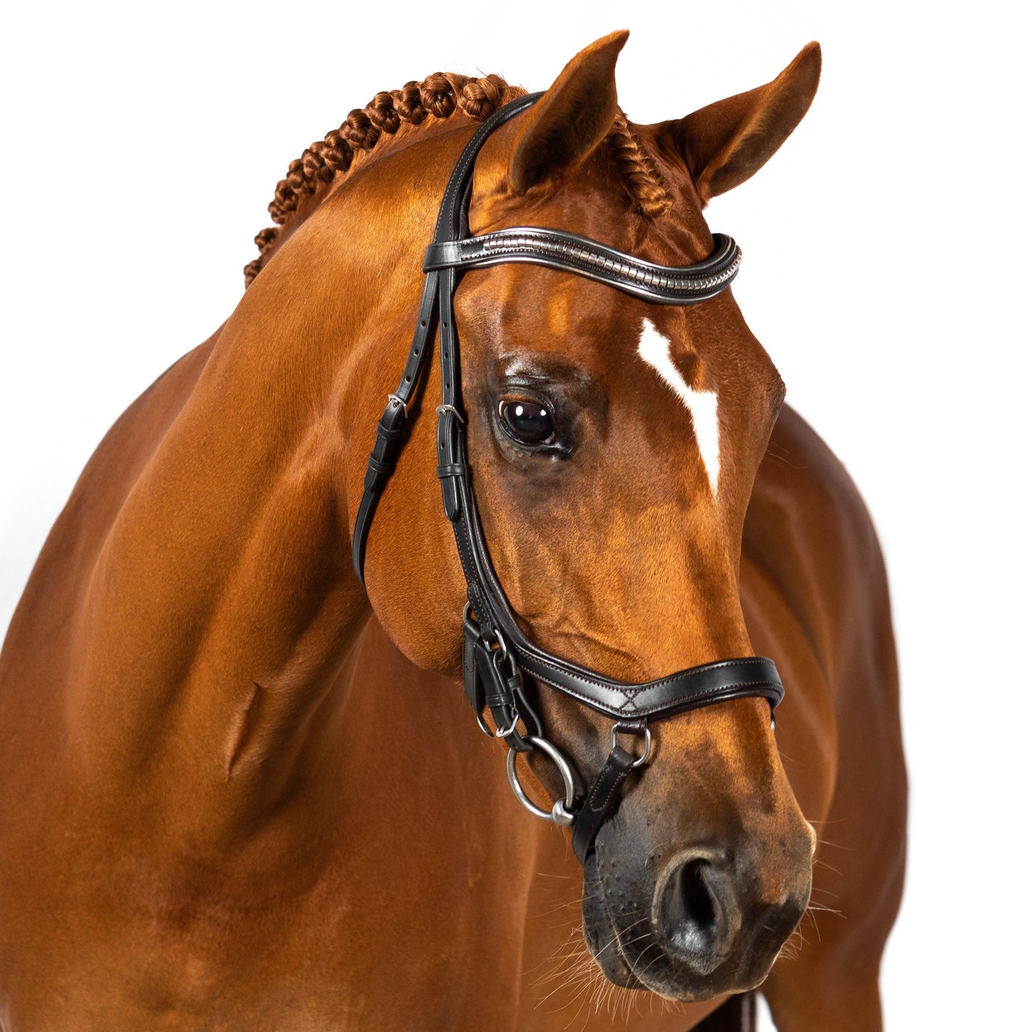 2 in 1 Comfort Noseband - Havana - Flexible Fit Equestrian Australia