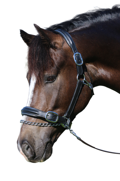 RAISED SILVER PIPE BLACK HALTER - Flexible Fit Equestrian Australia