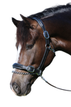 RAISED SILVER PIPE BLACK HALTER - Flexible Fit Equestrian Australia