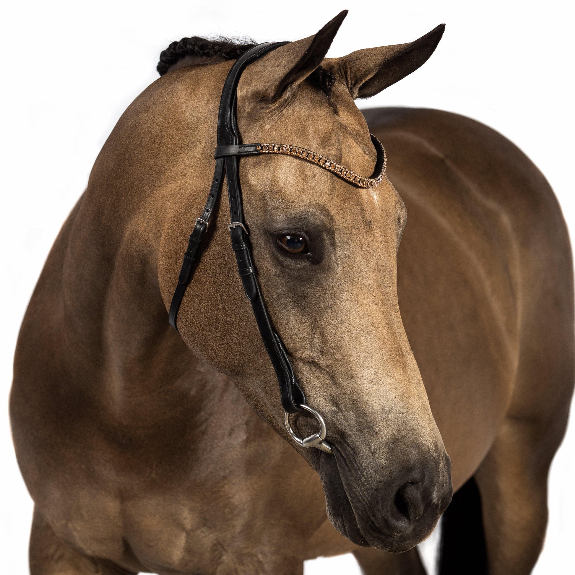 Nosebandless Bridle 'Orion' - Flexible Fit Equestrian Australia