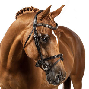 BRI002 HAVANA GEL DRESSAGE SNAFFLE BRIDLE – ALL ENGLISH DISCIPLINES