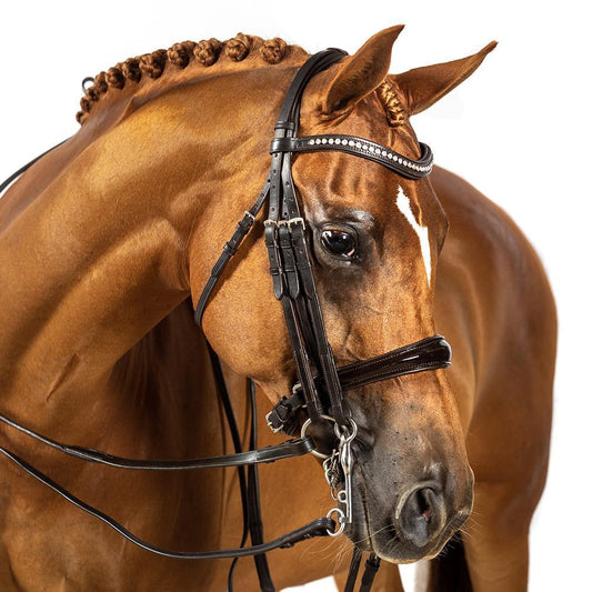 BRI004 HAVANA GEL 2 IN 1 COMBINATION DOUBLE – DRESSAGE BRIDLE