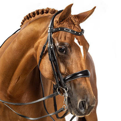 BRI005 BLACK GEL 2 IN 1 COMBINATION DOUBLE DRESSAGE BRIDLE - ALL ENGLISH DISCIPLINES