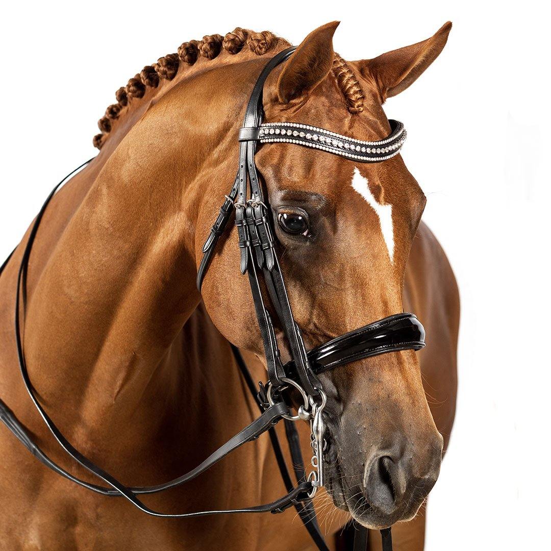 BRI006 BLACK GEL DOUBLE DRESSAGE BRIDLE - ALL ENGLISH DISCIPLINES