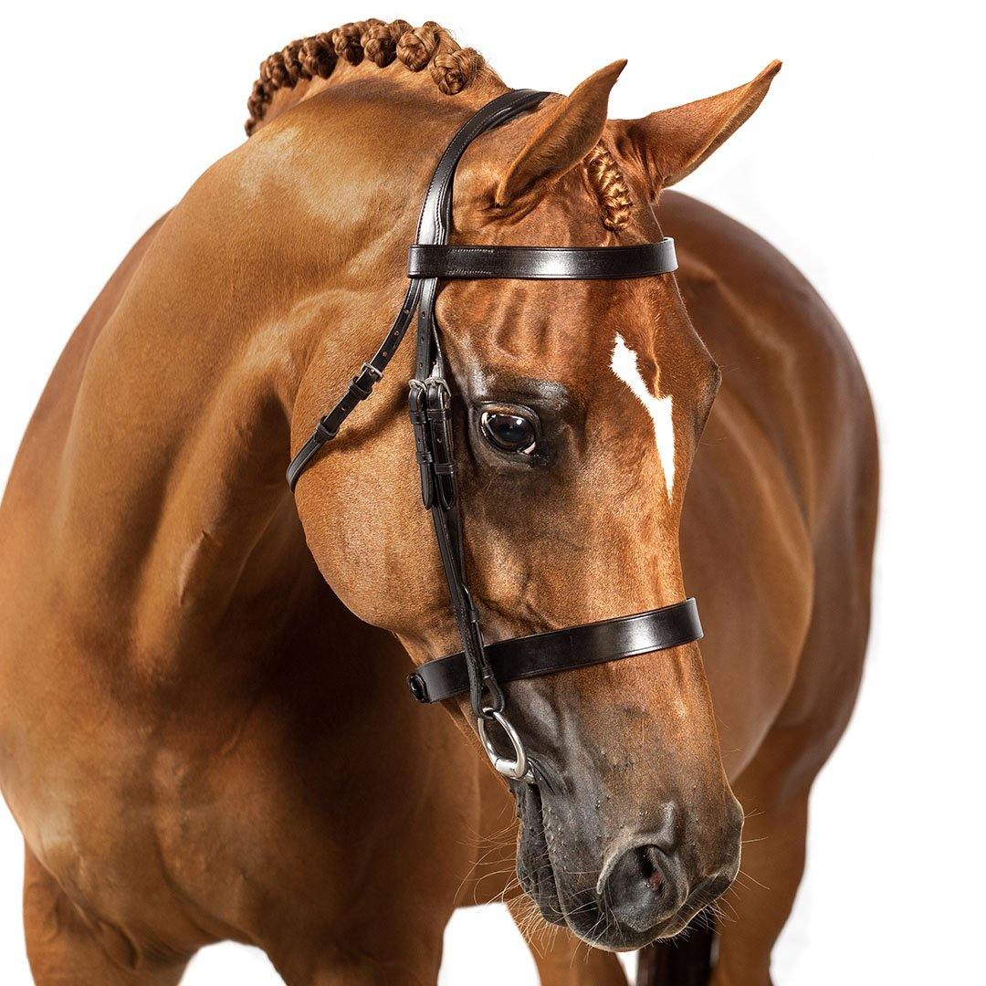 Bride De Filet (Snaffle Bridle) Double Bande De Nez - Cuir Souple