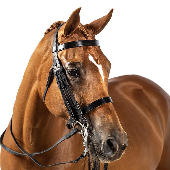 BRI010 BLACK GEL SHOW DOUBLE BRIDLE $224.80-$339.70 - Flexible Fit Equestrian Australia