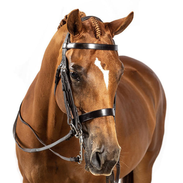 BRI011 HAVANA GEL SHOW DOUBLE BRIDLE $224.80-$339.70 - Flexible Fit Equestrian Australia