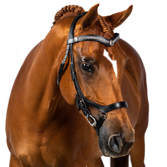 BRI014 Black Gel 2 in 1 Comfort Bridle - Flexible Fit Equestrian Australia