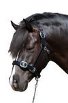 PLAIN FLAT STAINLESS STEEL BLACK HALTER - Flexible Fit Equestrian Australia