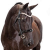 Premium Black Snaffle Bridle 'Explorer' - Flexible Fit Equestrian Australia