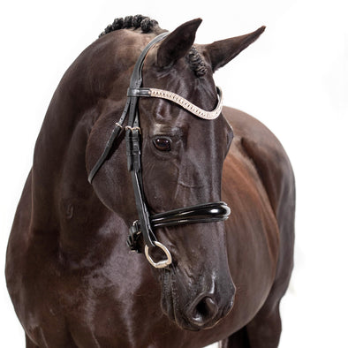 Flexible Fit Equestrian - Brookies Rural Traders