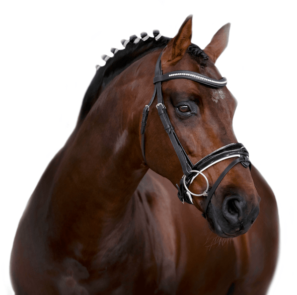 Premium Black Snaffle Bridle 'Ovation' - Flexible Fit Equestrian Australia