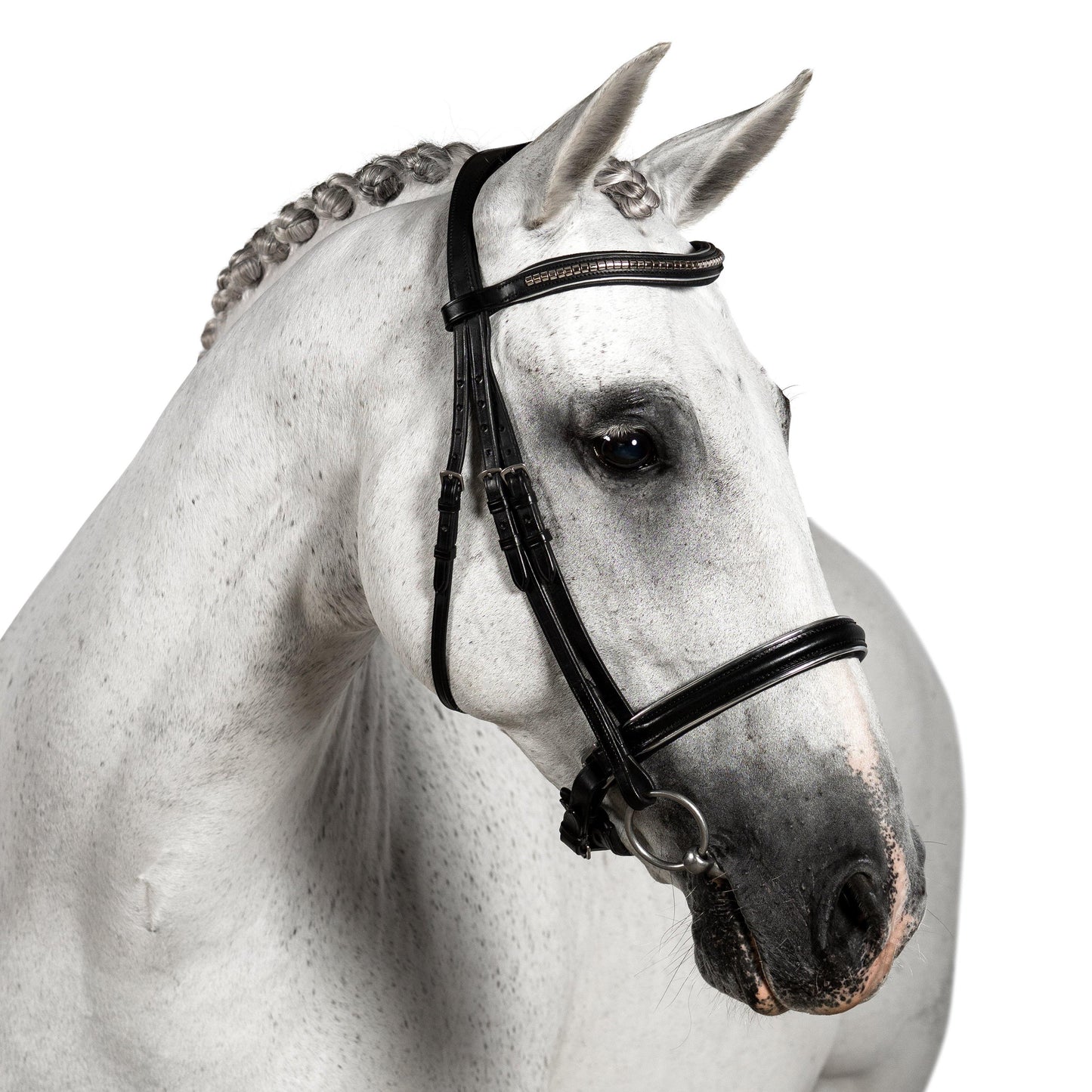 Premium Black Snaffle Bridle 'Zenith' - Flexible Fit Equestrian Australia