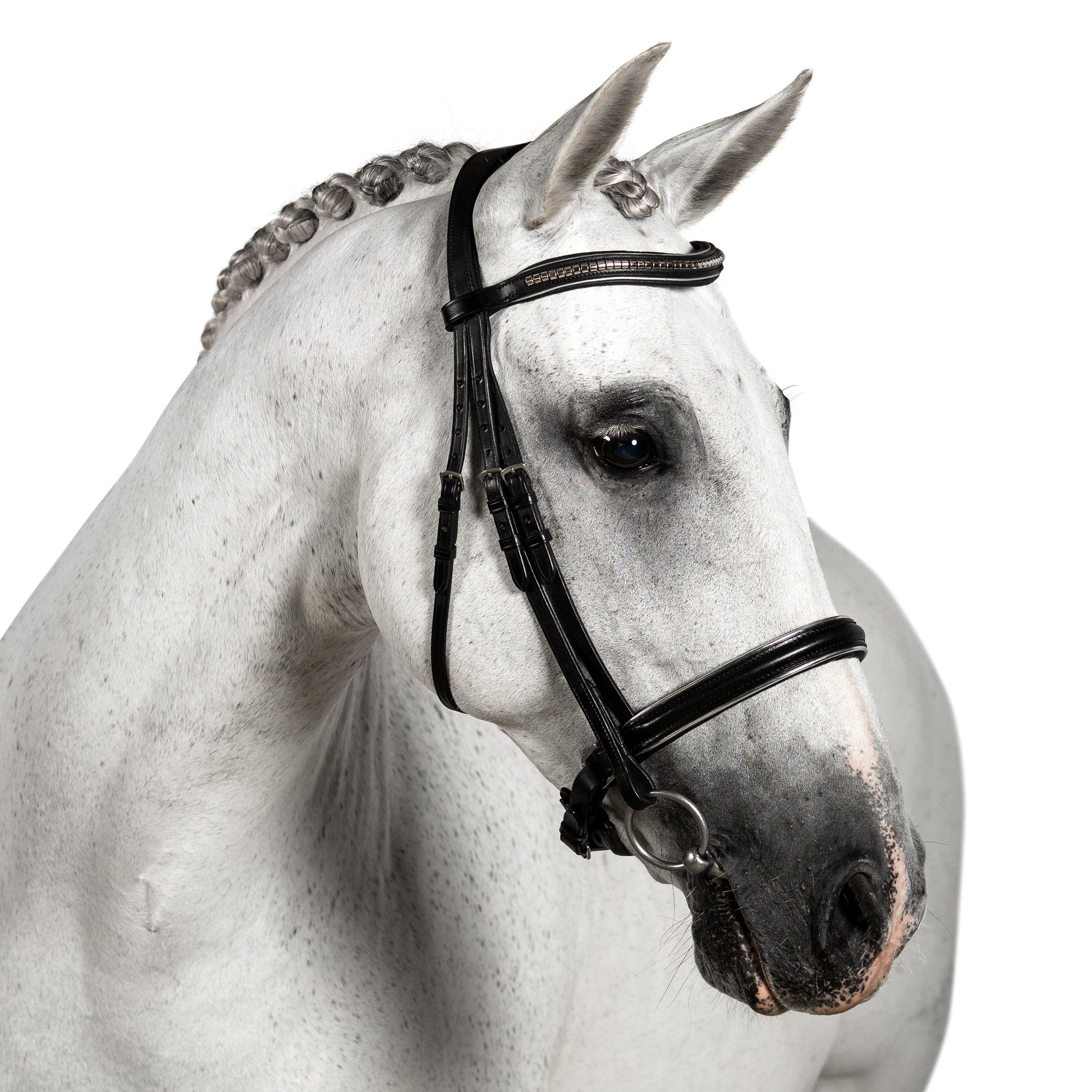 Premium Black Snaffle Bridle 'Zenith' - Flexible Fit Equestrian Australia