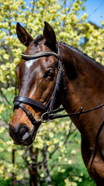 Topaz Wave Snaffle Bridle with Brass Buckles - Flexible Fit Equestrian Australia